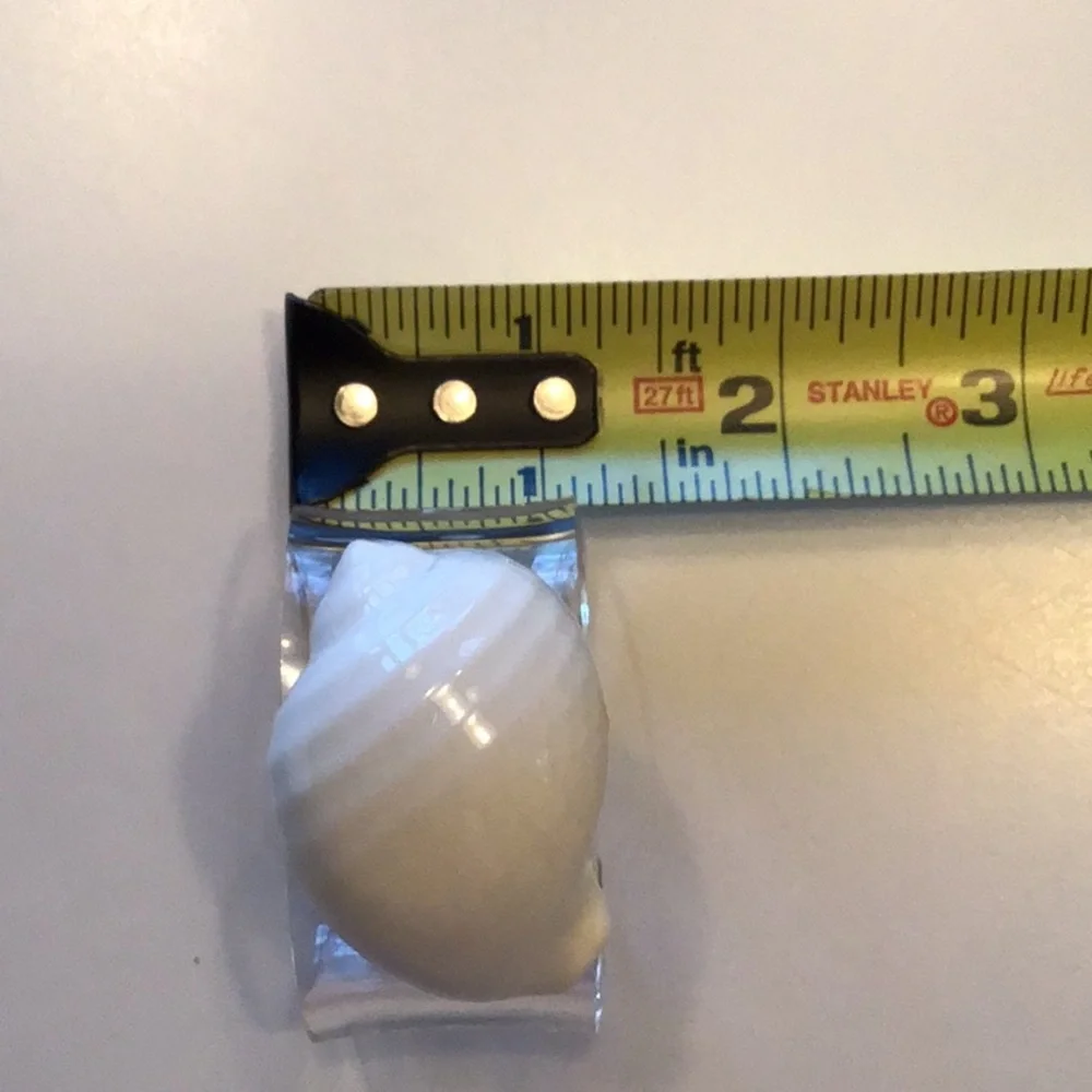 Vintage Shell Napkin Rings Seashells Acrylic Lucite Bone China Conch Set 8‎